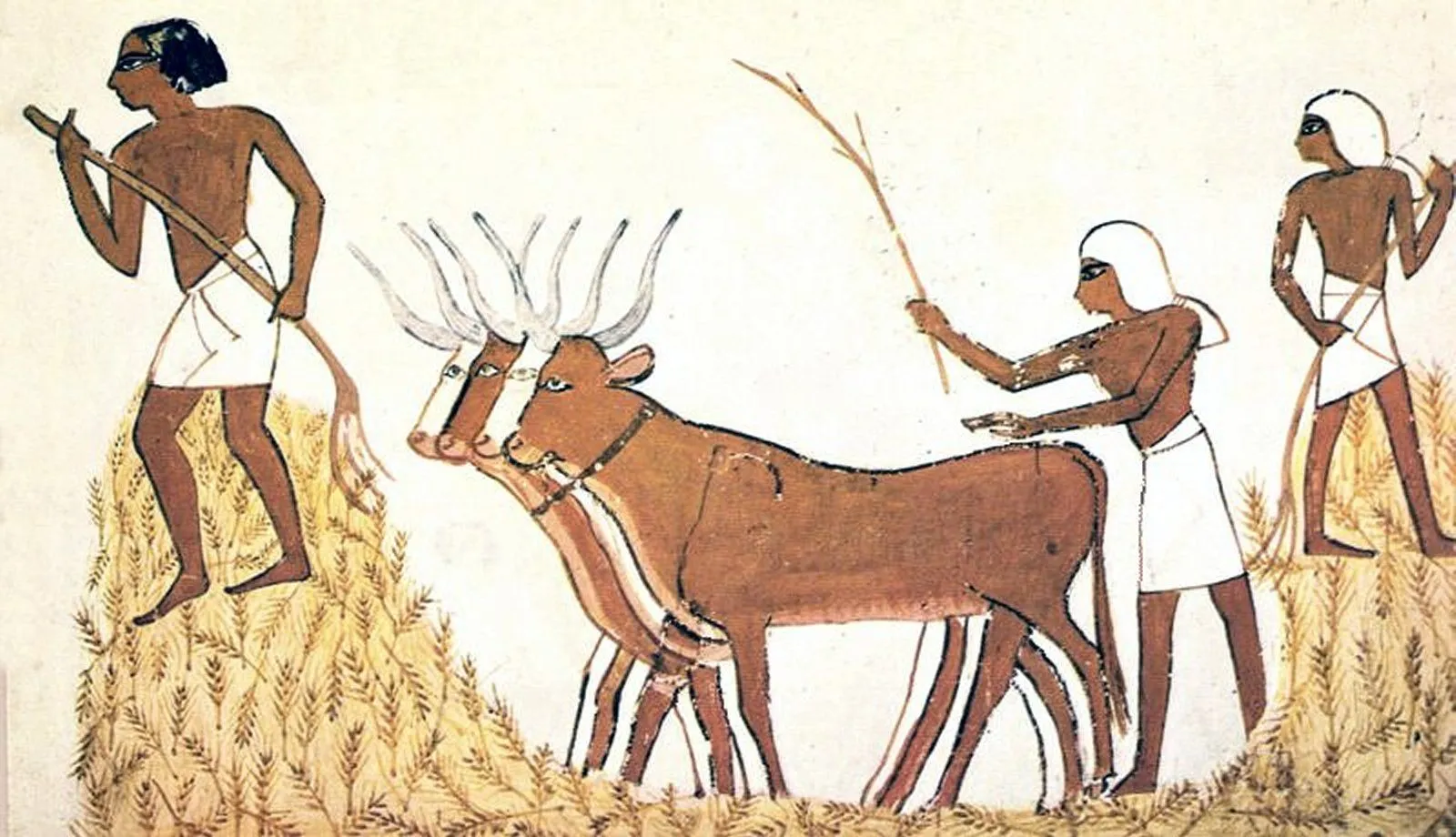 Actualizar más de 78 sedentarios dibujos - camera.edu.vn Actualizar más de 78 sedentarios dibujos - camera.edu.vn