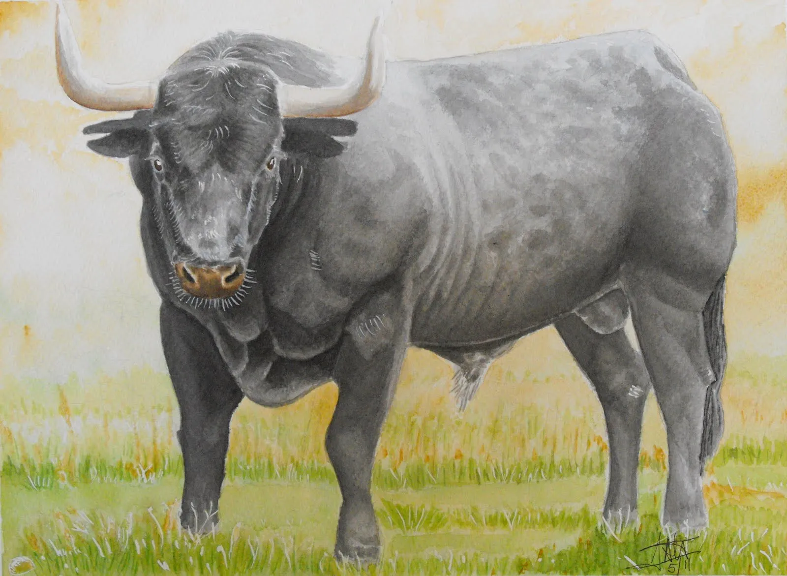 ACUARELAS Y DIBUJOS JAL: ANIMALES ACUARELAS Y DIBUJOS JAL: ANIMALES