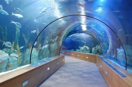 acuario Los acuarios más bonitos del mundo