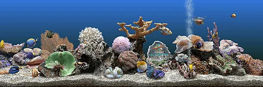 Acuario realista como salvapantallas Marine Aquarium Acuario realista como salvapantallas Marine Aquarium