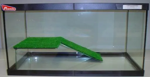 Acuario para tortugas de agua | Aprender a cuidar animales y mascotas Acuario para tortugas de agua | Aprender a cuidar animales y mascotas