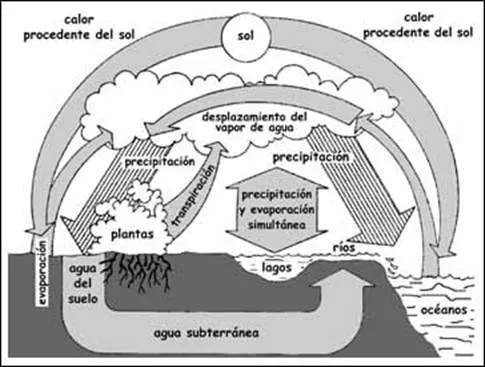 Acuífero Guaraní