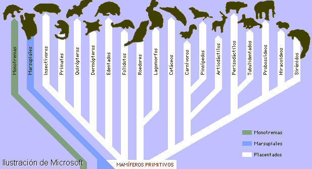 index_image001.gif