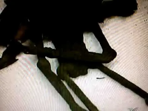 adas reales IMPACTANTE - YouTube