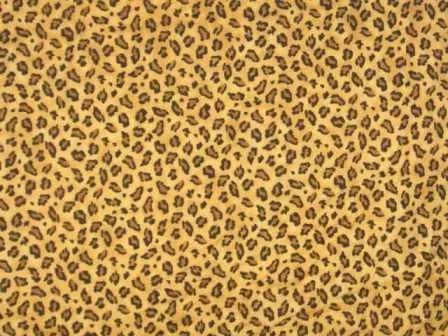 Adelgazar 10 años: TIPS DE ESTILISMO: LEOPARDO Y ANIMAL PRINT