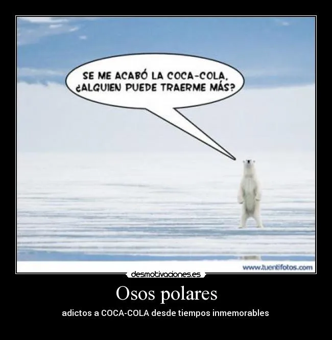 Adictos alos osos gordos - Imagui