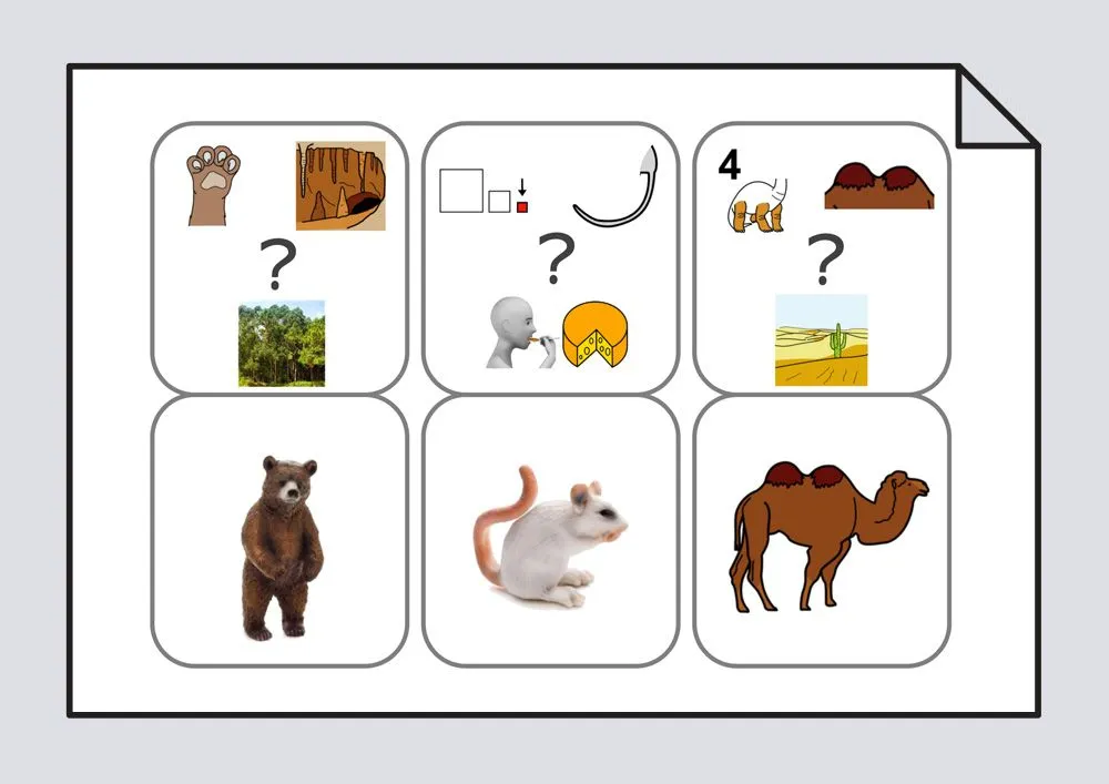 Adivina. Los animales: Vocabulario #Soyvisual