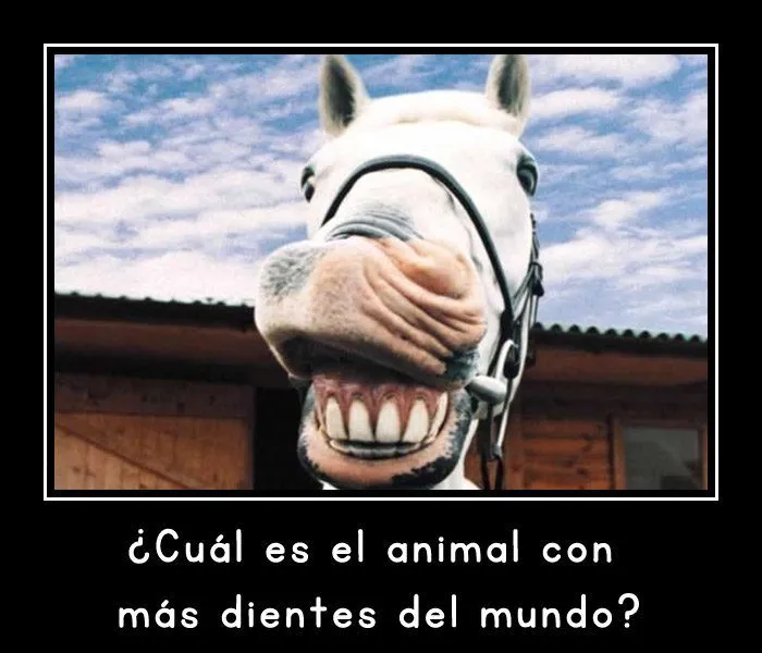 adivinanzas-de-animales-con- ...
