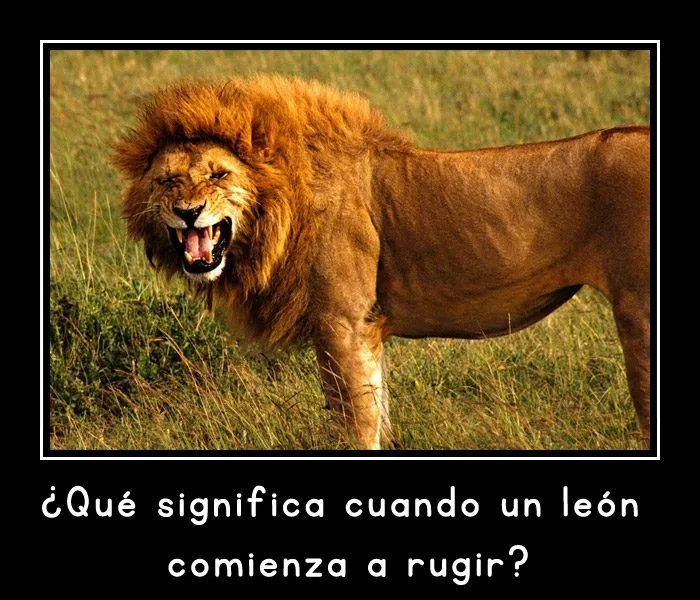 Adivinanzas graciosas con fotos :: Imágenes y fotos