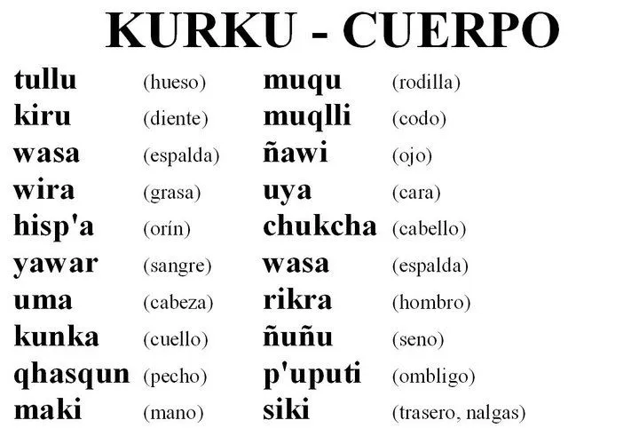 ADMIRADORES DEL IDIOMA QUECHUA: Partes del cuerpo humano en ... ADMIRADORES DEL IDIOMA QUECHUA: Partes del cuerpo humano en ...