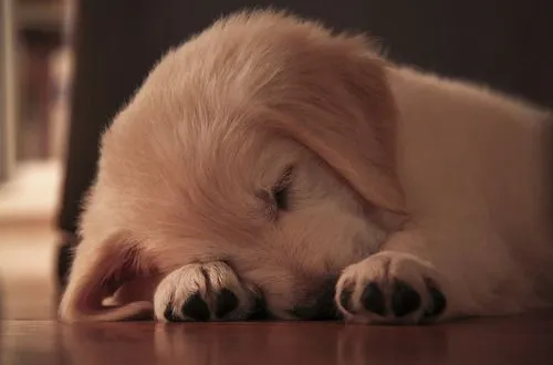 Adolescente sem causa!: Abril 2011