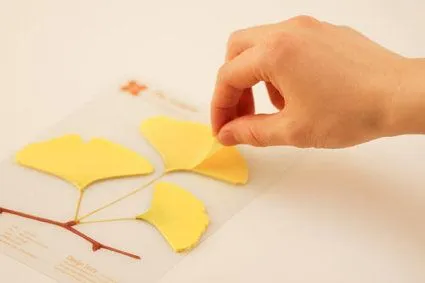 Decora tus paredes con hojas de papel « DecoraTrucos Decora tus paredes con hojas de papel « DecoraTrucos