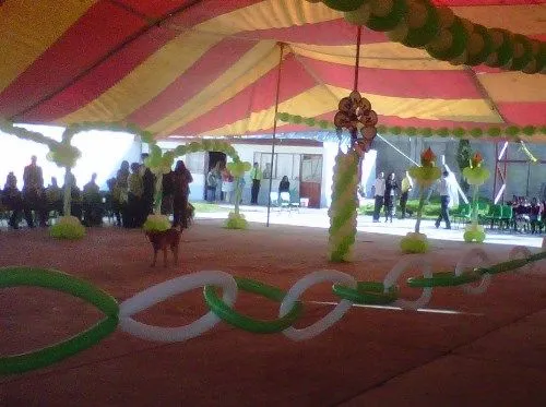 Decoracion Graduacion De Primaria