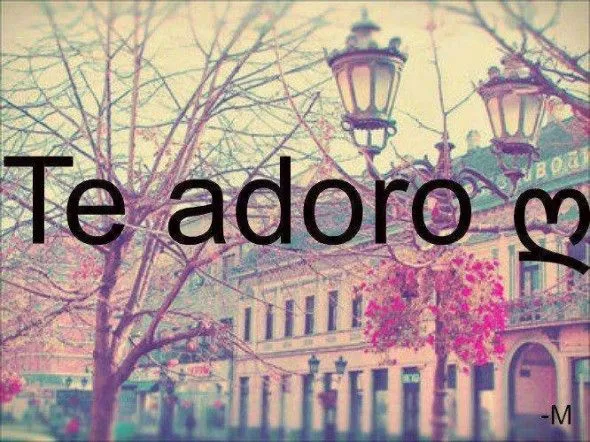 Te Adoro | Hola XD
