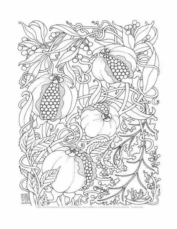 Adult Coloring Pages Edibles Set of 8 by emerlyearts on Etsy Adult Coloring Pages Edibles Set of 8 by emerlyearts on Etsy