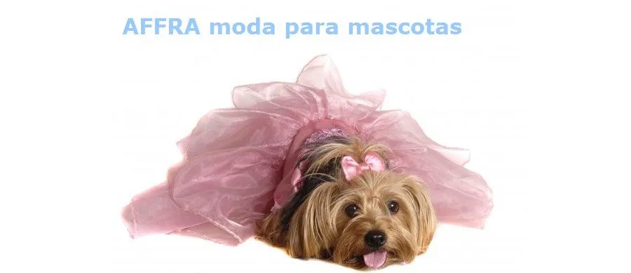 Affra boutique para mascotas y servicio personalizado de SPA y ... Affra boutique para mascotas y servicio personalizado de SPA y ...