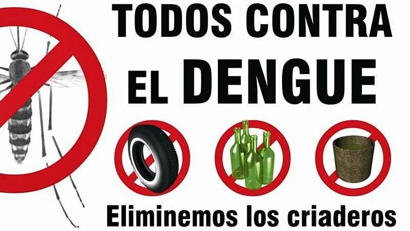 afiche dengue | Firmat24