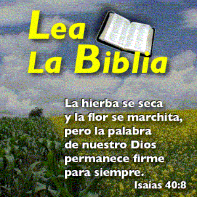 Afirmaciones de la Biblia | Aquí se encontrará versículos de las ... Afirmaciones de la Biblia | Aquí se encontrará versículos de las ...