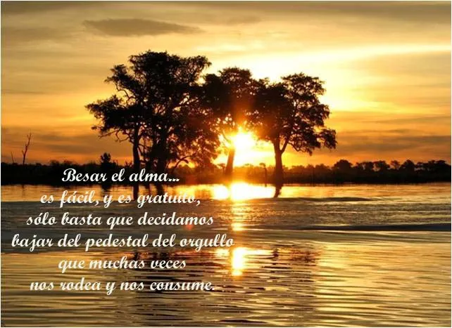AFRICA TU ALMA GEMELA: REFLEXIONES POSITIVAS ¿CUÁL ELIGES HOY?