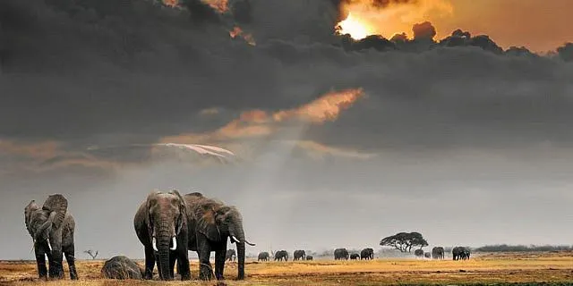 ÁFRICA - PAISAJES - Álbumes - Galería de Arimae - Fotos