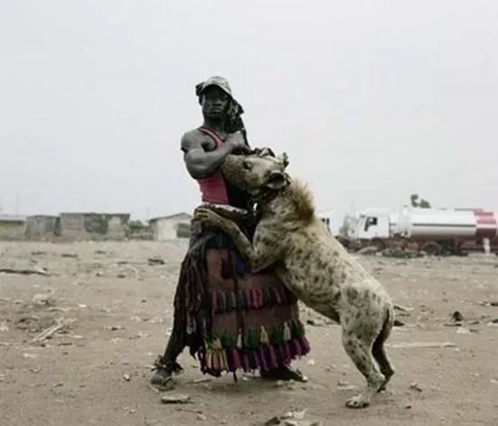 African Pit Bulls | mid life rocks Blog