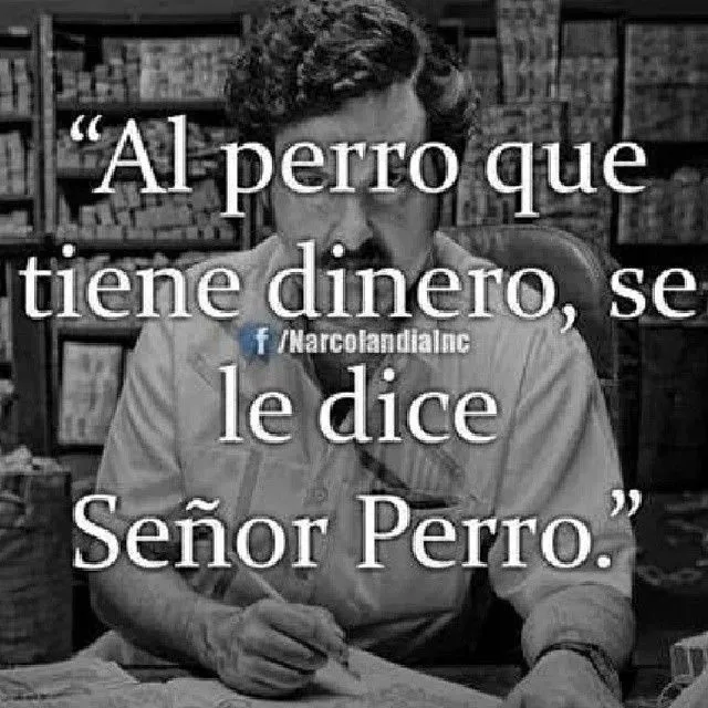 Nunca agaches la frente, haste respetar! — #frases #don #pablo ...