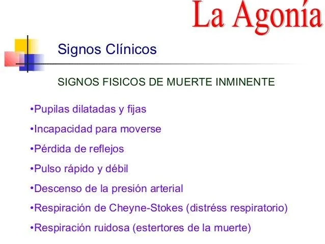 agonia-4-638.jpg?cb=1357437915