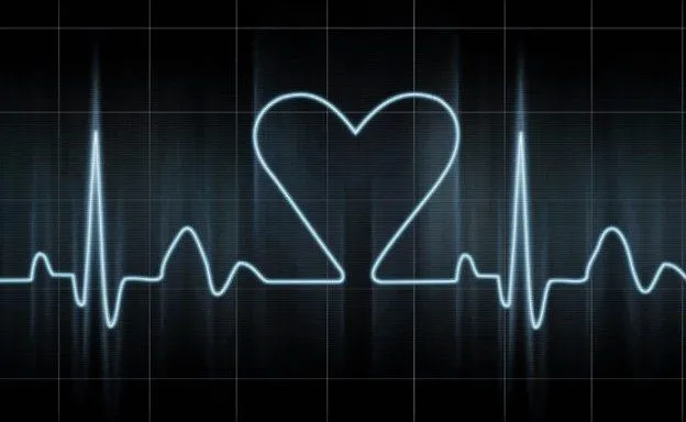 agosto | 2007 | SILVESTRE sin PIOLIN!!