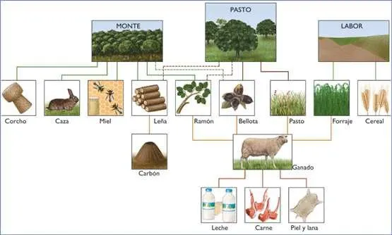 Agotamiento de los recursos naturales - Monografias.com