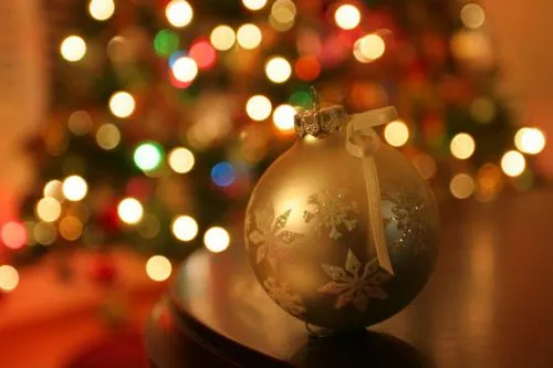 me agradaría preparar en estos días un árbol de... - RIKI me agradaría preparar en estos días un árbol de... - RIKI