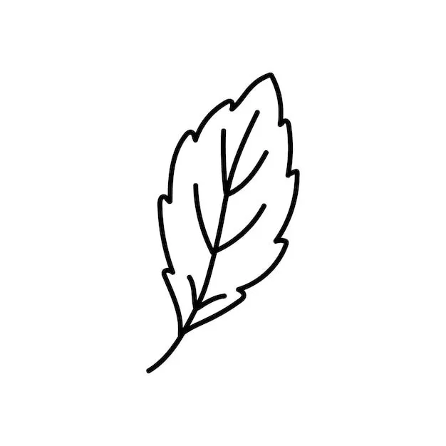 Agregar más de 89 hoja arbol dibujo mejor - camera.edu.vn Agregar más de 89 hoja arbol dibujo mejor - camera.edu.vn