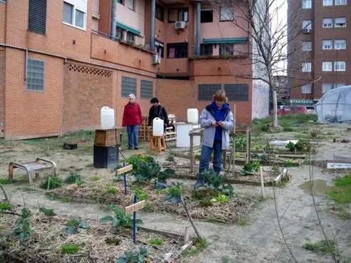 Agricultura urbana: algunas reflexiones sobre su origen e ... Agricultura urbana: algunas reflexiones sobre su origen e ...