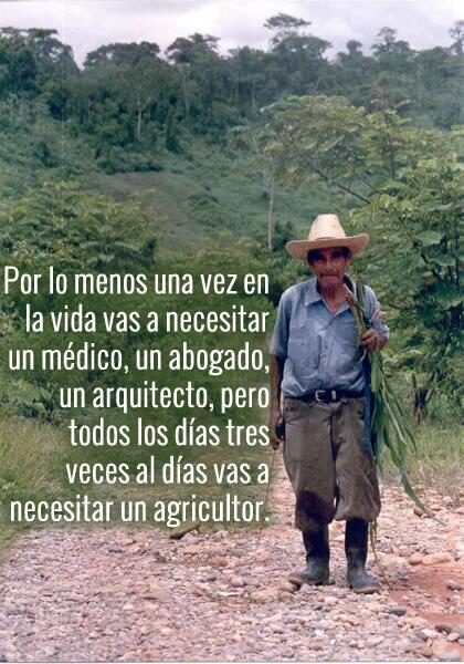 Frases de agronomos - Imagui