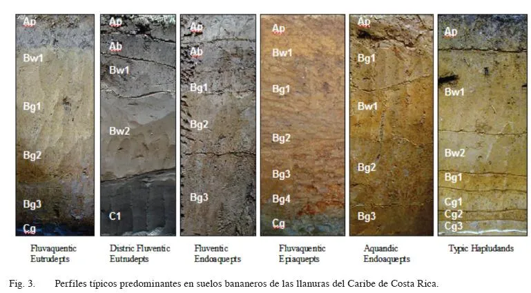 Agronomía Costarricense - Caracterización química y clasificación ...