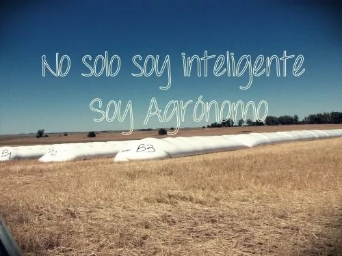 agronomo | Tumblr