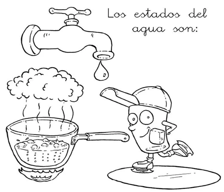 Los estados del agua | Ciclo del agua, Actividades del ciclo del agua,  Actividades gráficas
