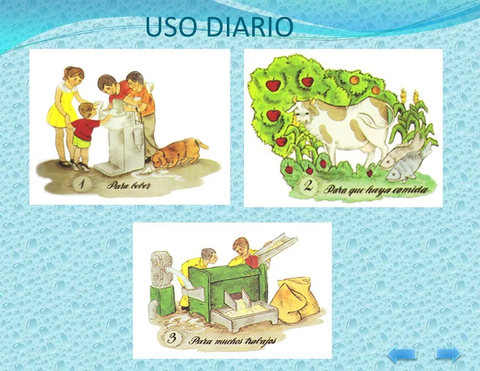EL AGUA CONCEPTO ESTADOS UTILIDAD PROPIEDADES. - ppt descargar