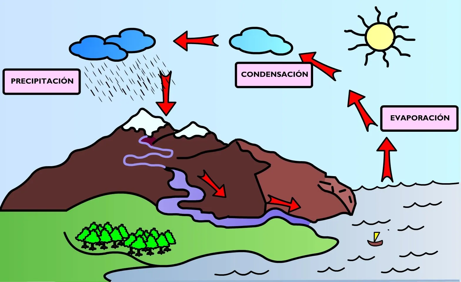 El agua en continuo movimiento