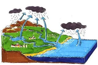 El agua: ¿Cuáles son los tres estados del agua? El agua: ¿Cuáles son los tres estados del agua?