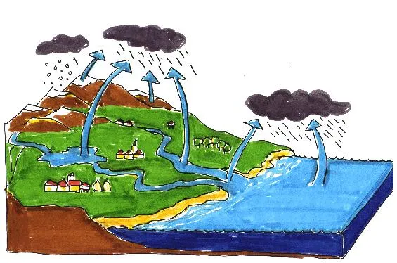 El agua: ¿Cuáles son los tres estados del agua? El agua: ¿Cuáles son los tres estados del agua?