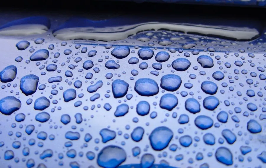 Así que el agua tiene memoria, ¿eh? | Errores y erratas Así que el agua tiene memoria, ¿eh? | Errores y erratas