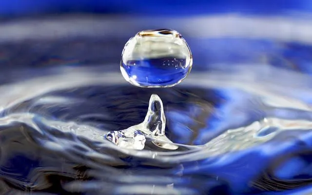 el agua tiene algo que mostrarnos