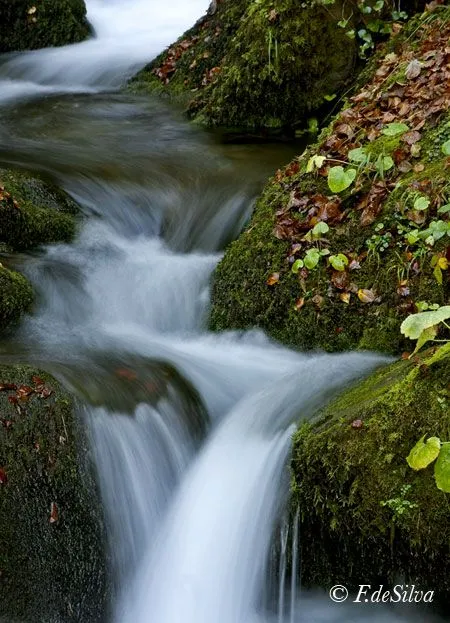 Basico | juanandresrv Weblog