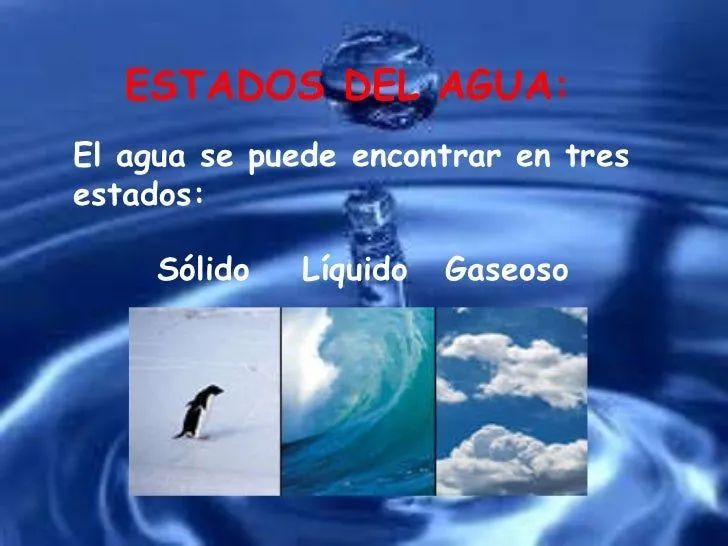 el-agua-en-la-naturaleza-4-728 ...