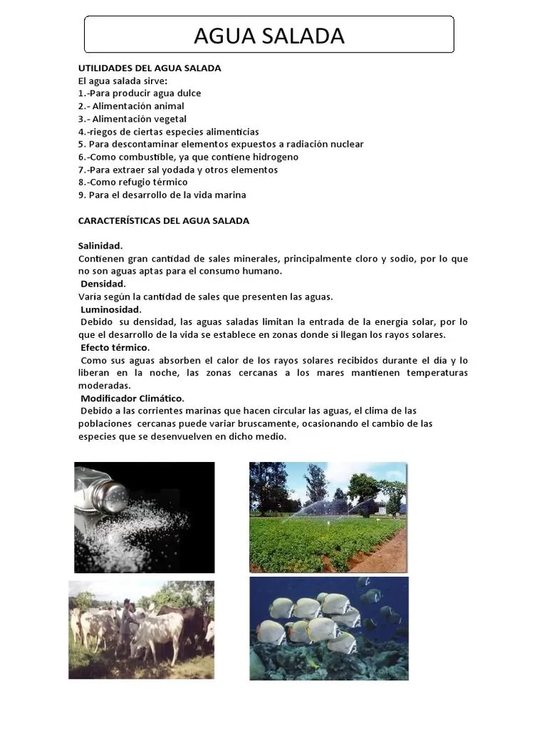 Agua Salada | PDF