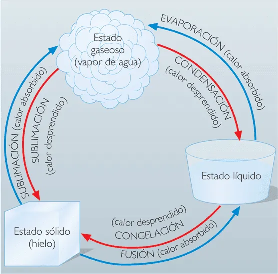 EL AGUA EN NUESTRA VIDA: PRUEBA INICIAL
