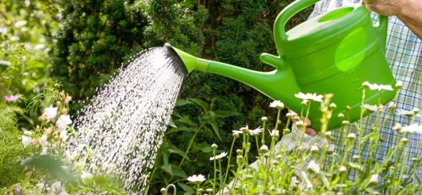 agua2.jpg