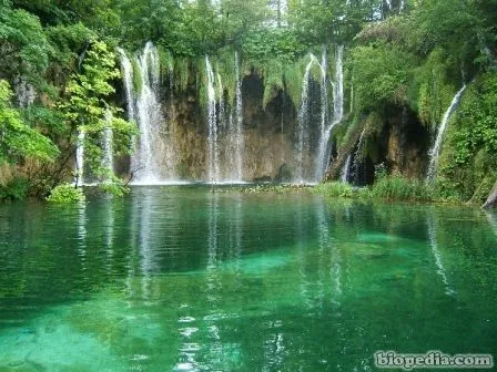 Aguas dulces | BIOPEDIA