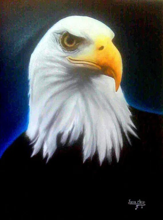 Aguila Calva. Jose Antonio Mesa Ortiz - Artelista. Aguila Calva. Jose Antonio Mesa Ortiz - Artelista.