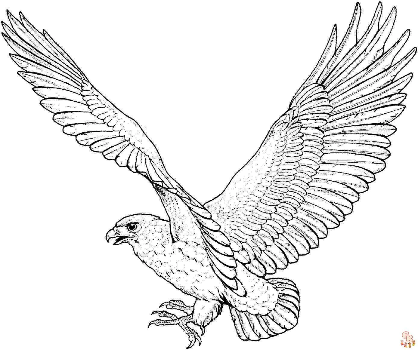 Águila para colorear - Hojas imprimibles gratis para niños | GBcoloring Águila para colorear - Hojas imprimibles gratis para niños | GBcoloring